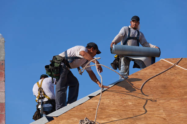 Best Metal Roofing Contractor  in Kenosha, WI