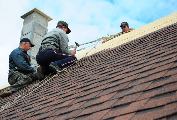 Best Commercial Roofing Services  in Kenosha, WI
